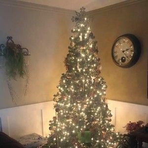 Meet your Posher, Lynn